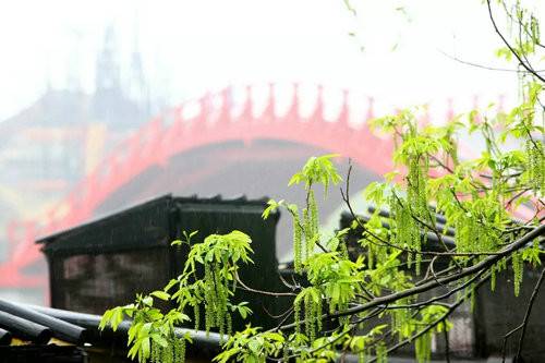 美在四季美在清明上河園