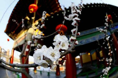 美在四季美在清明上河園