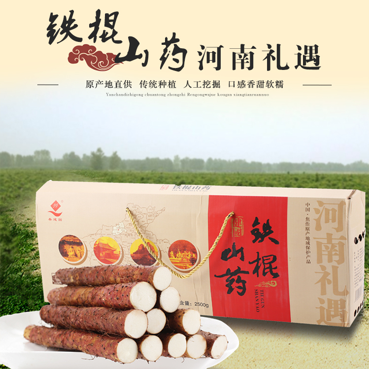  老家河南網-焦作鐵棍山藥