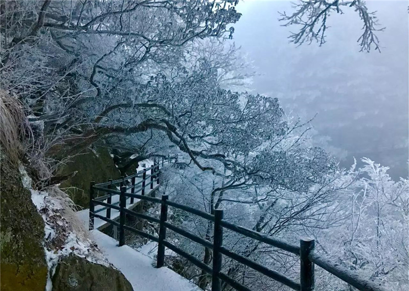  老家河南網-河南省旅游局全面打造冬季旅游產品