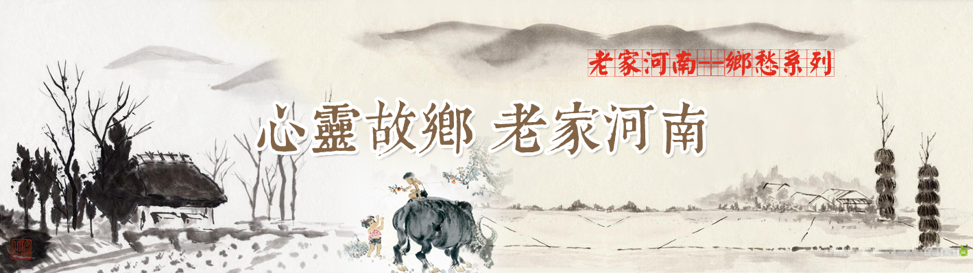  老家河南網-老家河南主題曲 