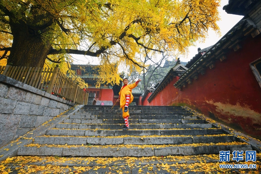  老家河南網-初冬的少林寺是一抹動人心魄的美